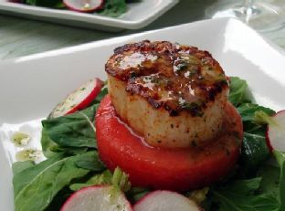 Seared Scallop and Watermelon Salad With Sparkling Mint Vinaigrette