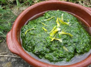 Dandelion pesto